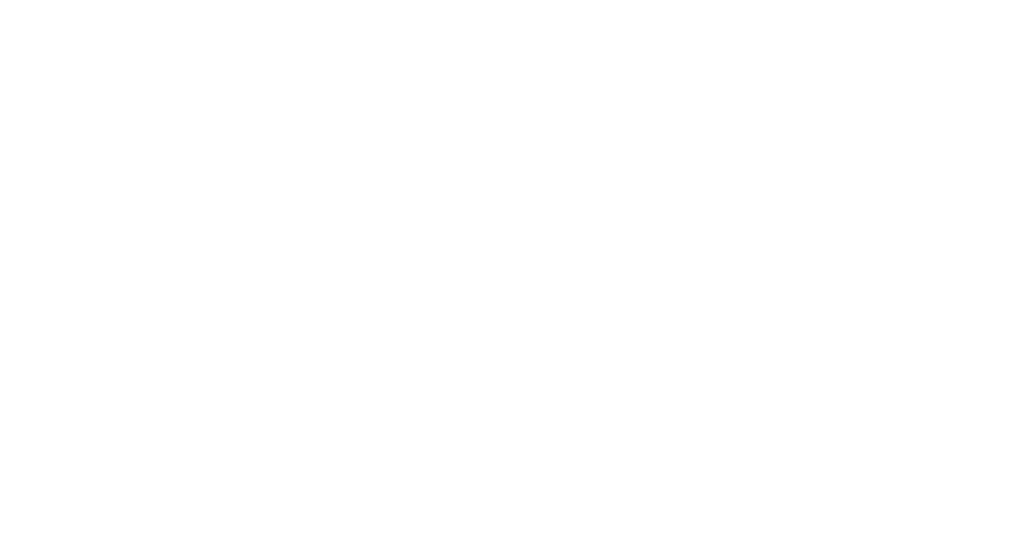 Triton Telecom logo in white